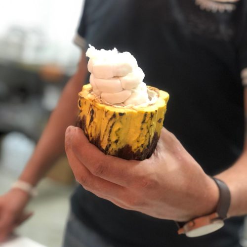 036e2327-03cc-41d1-8d80-c32984e59894